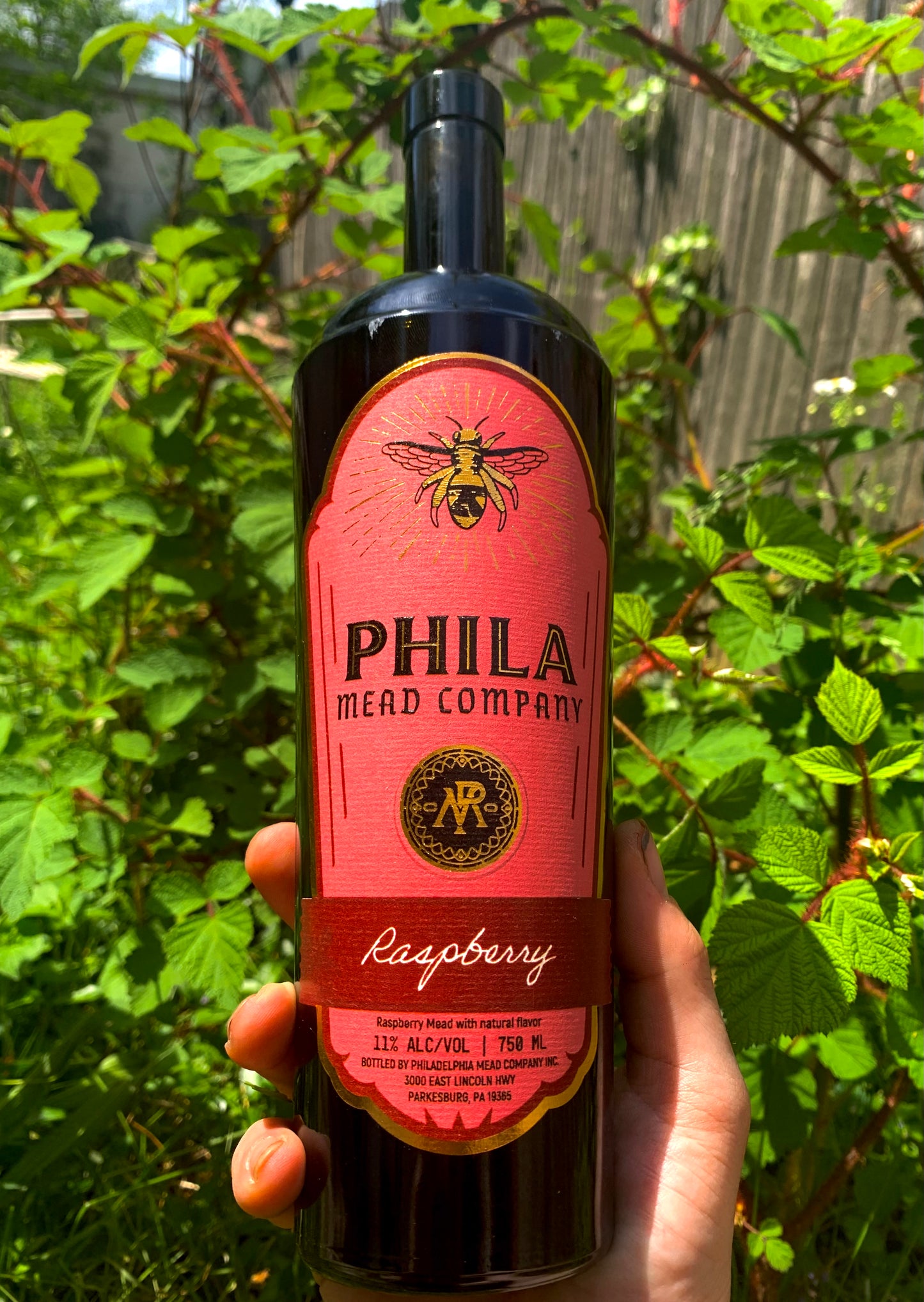 A picture of our Raspberry mead held in front of a raspberry bush